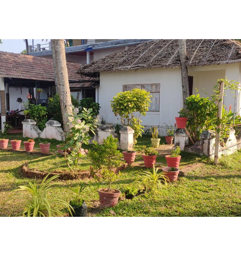 Organic Villa Seaview Cottages